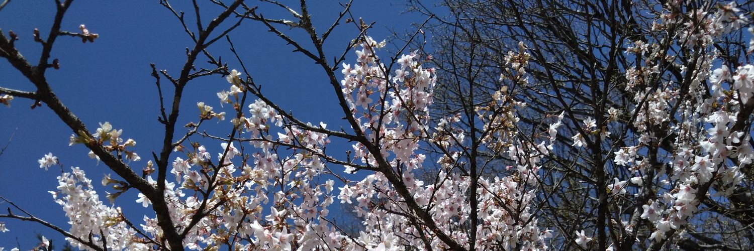 マクリー banner