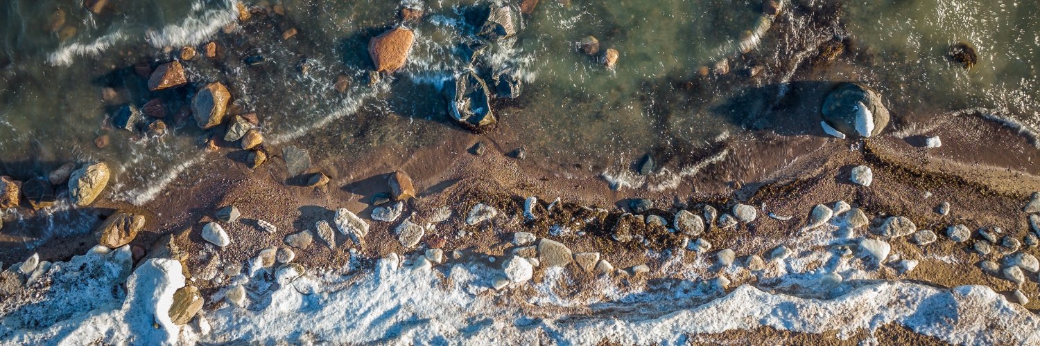 Tõnis Rebane banner