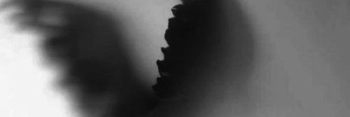 ป. banner