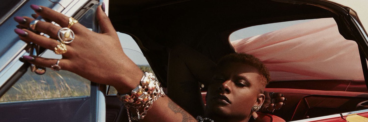 onça tomando sol banner