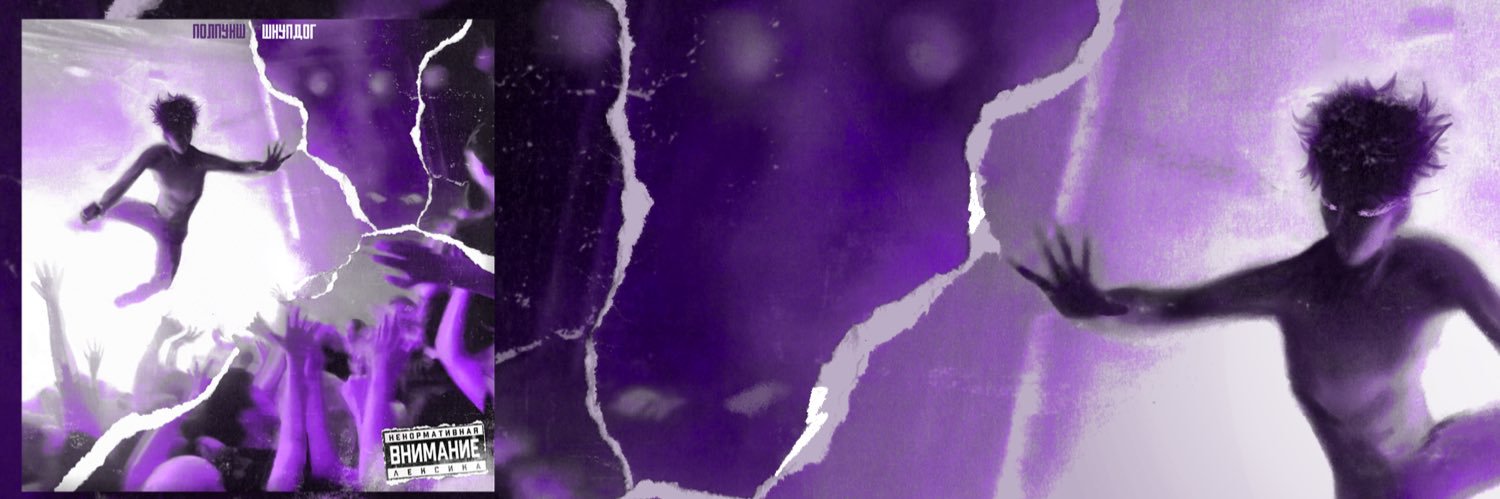 PolPunsh's profile banner image