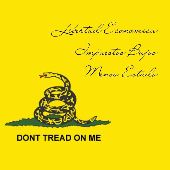 🏴 Daniela Calderón 🌗💛🖤 banner