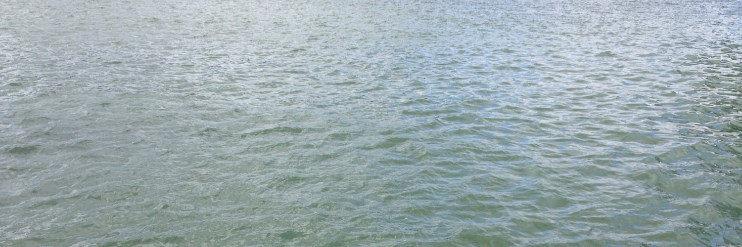 nijerr2's profile banner image