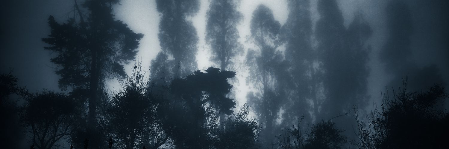 avinasharjunan's profile banner image