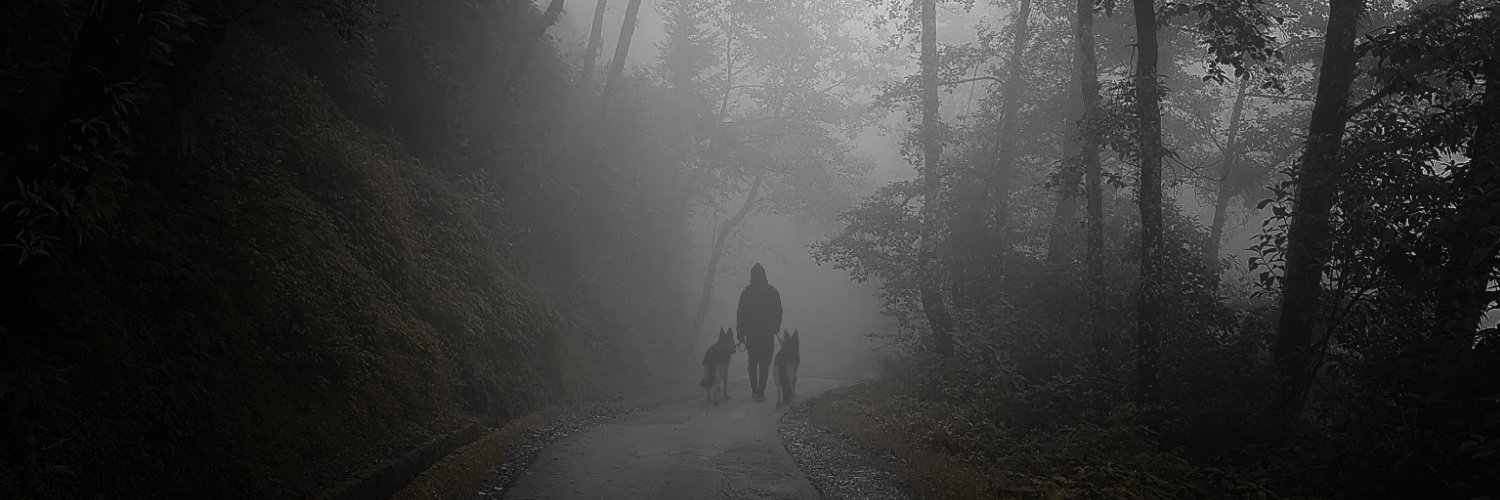 PunkToSign's profile banner image