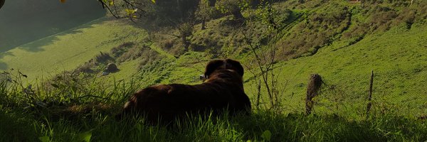 _pabloam Profile Banner