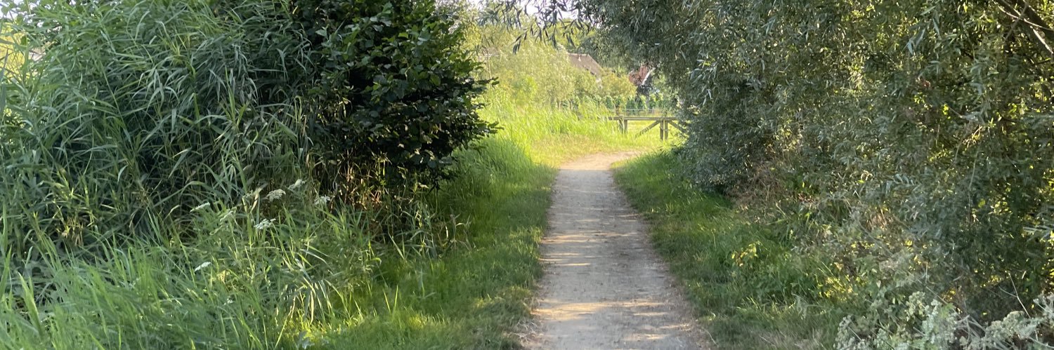 Noemi 💜🏳️‍⚧️ banner