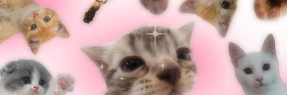 capri ⋆˙⟡♡ banner