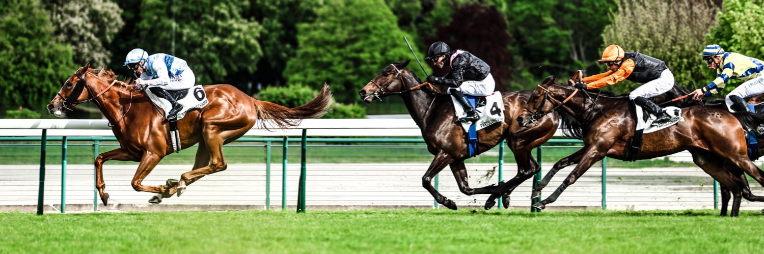 Julia Franquart banner