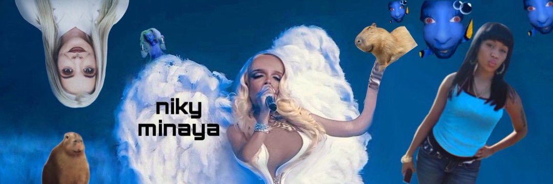 niky_minaya's profile banner image