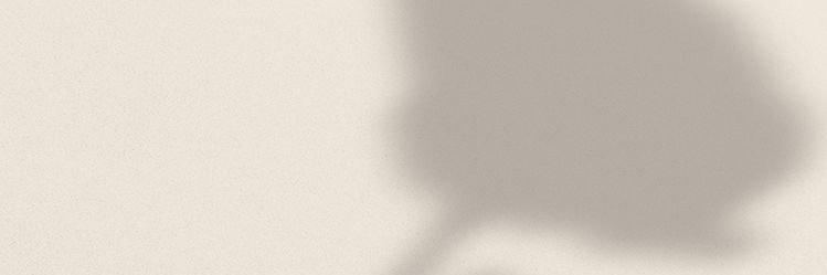 SeeleMontes's profile banner image