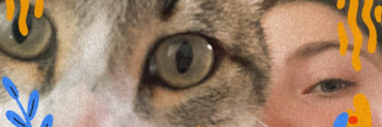 cecixexu's profile banner image