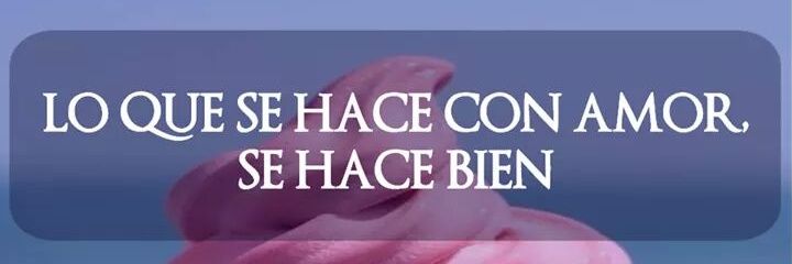 Lia_Zone's profile banner image
