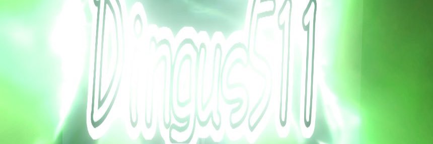 Dingus banner