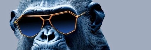 XIMENA CALDERA banner