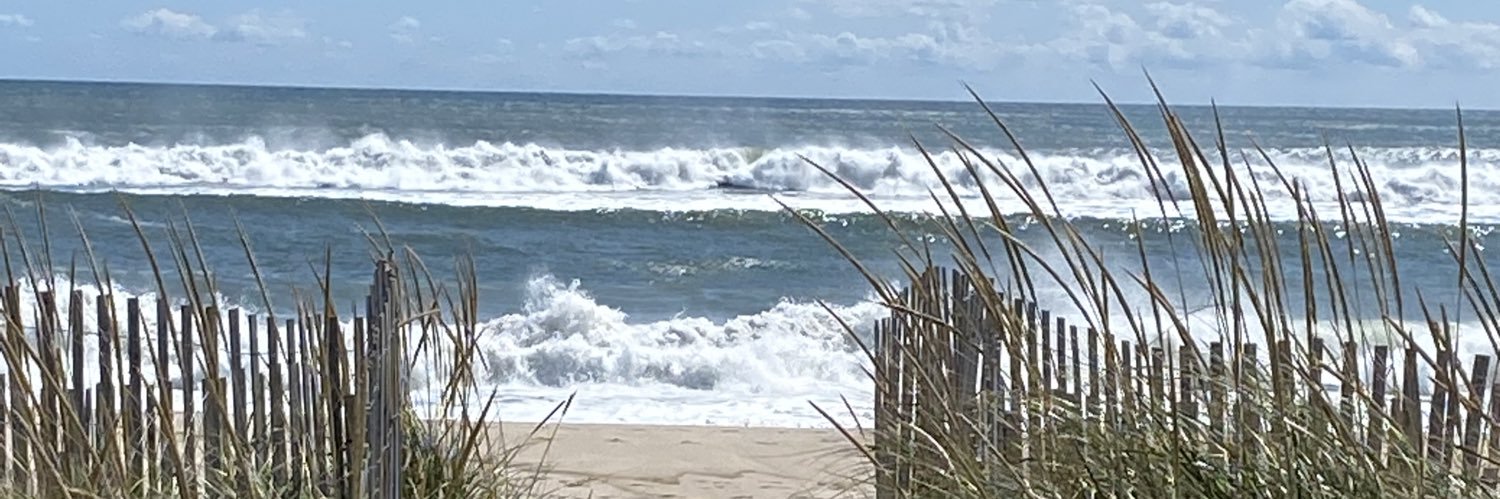 John DiMotta 🇺🇸🦅 banner