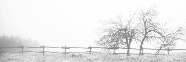 CrowKeys Profile Banner