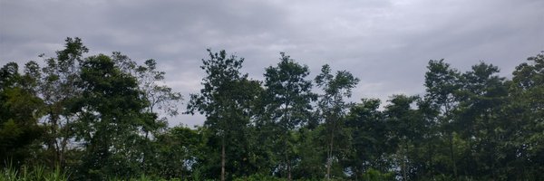 NickJSaxby Profile Banner