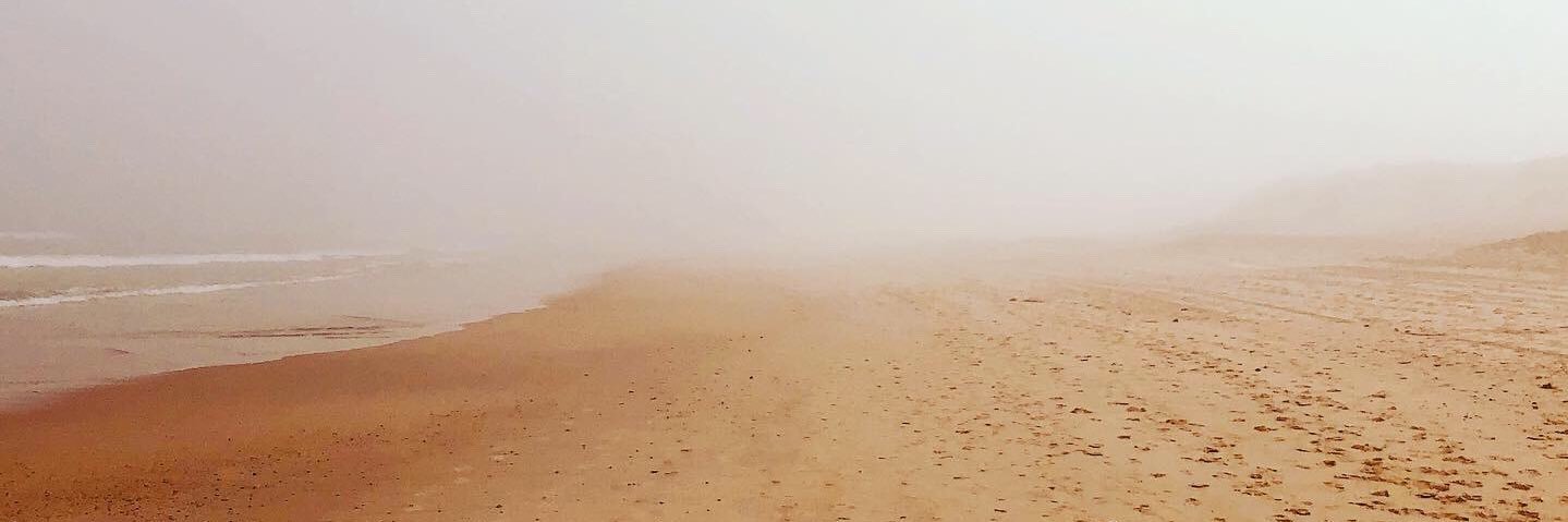 Nic Ocean banner