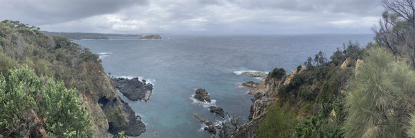 DaveToau Profile Banner