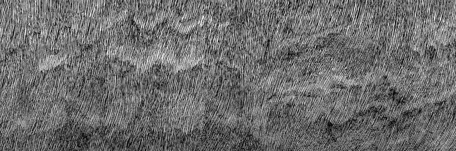 Abdulaziz Almesned banner