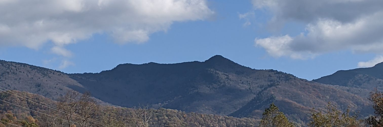 WendyBrown banner