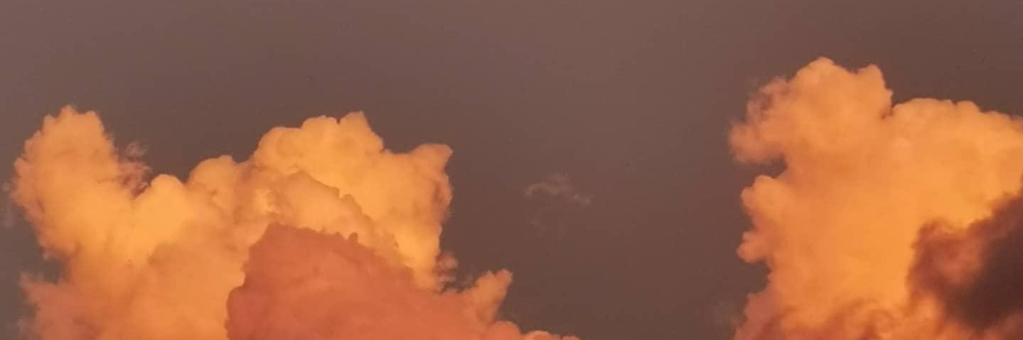 sherryanneeeeee's profile banner image