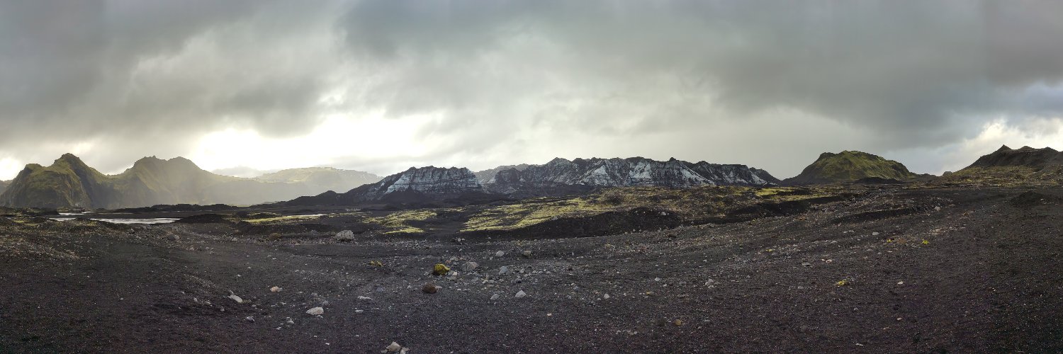 Max Van Wyk de Vries banner