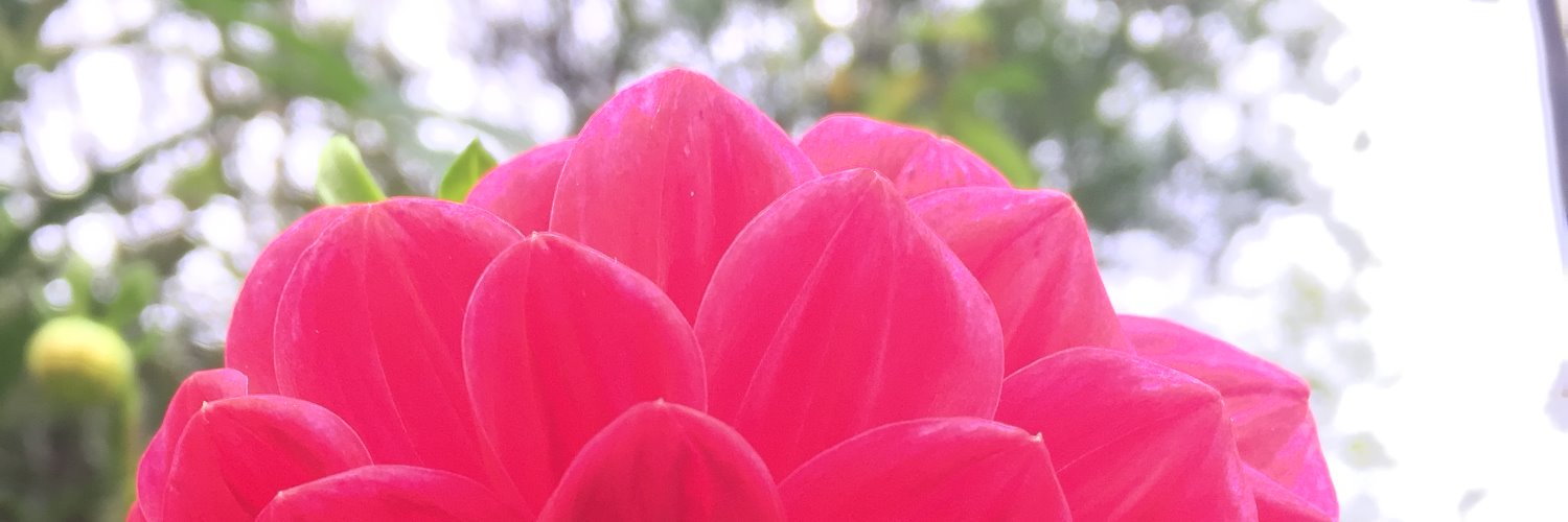 MelaaaniaaaFeb's profile banner image