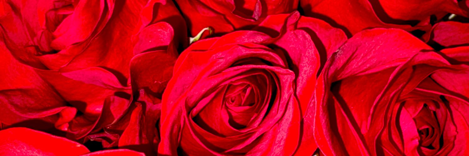 ᴘʀᴇᴛᴛʏ ʙ ❀ banner