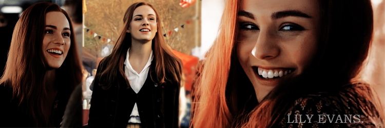 LILY EVANS banner