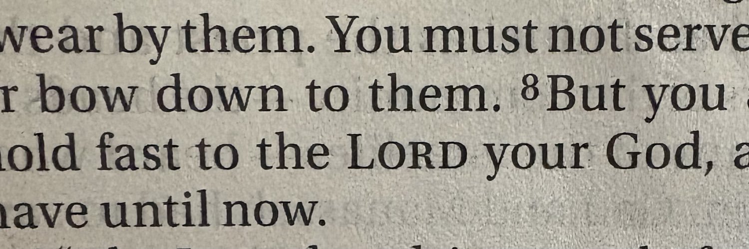 THE BELL 🐝🔔♟️🇺🇸🇭🇹ANON $CEO7 banner