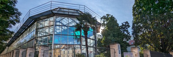 NoheDev Profile Banner