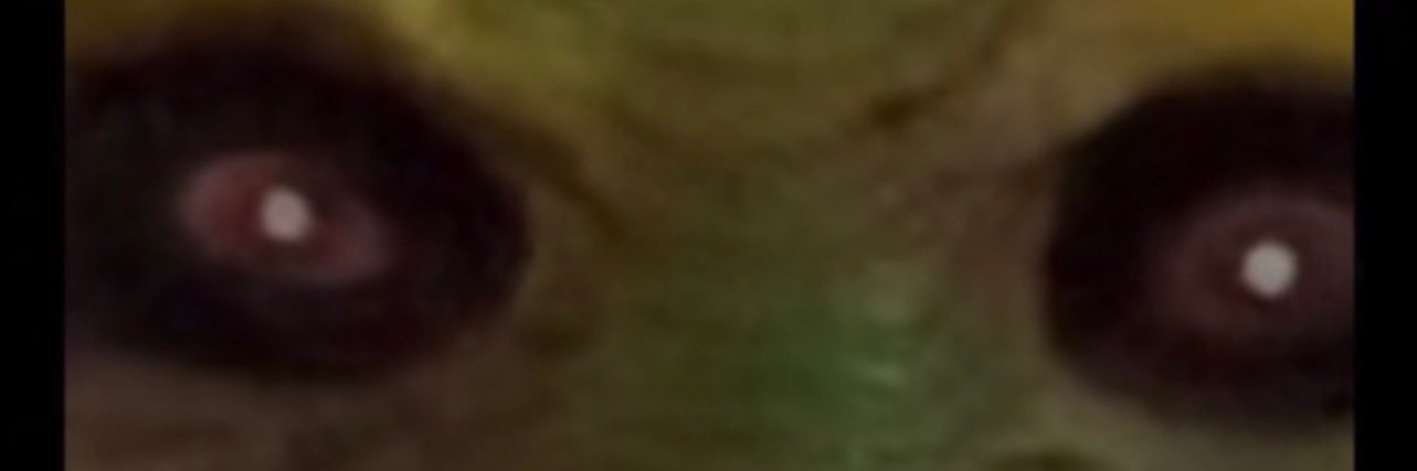 WalmartGardner's profile banner image