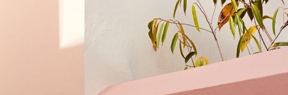 _DaniFausto's profile banner image
