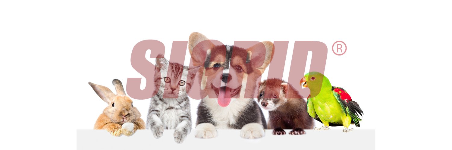 swtbay's profile banner image