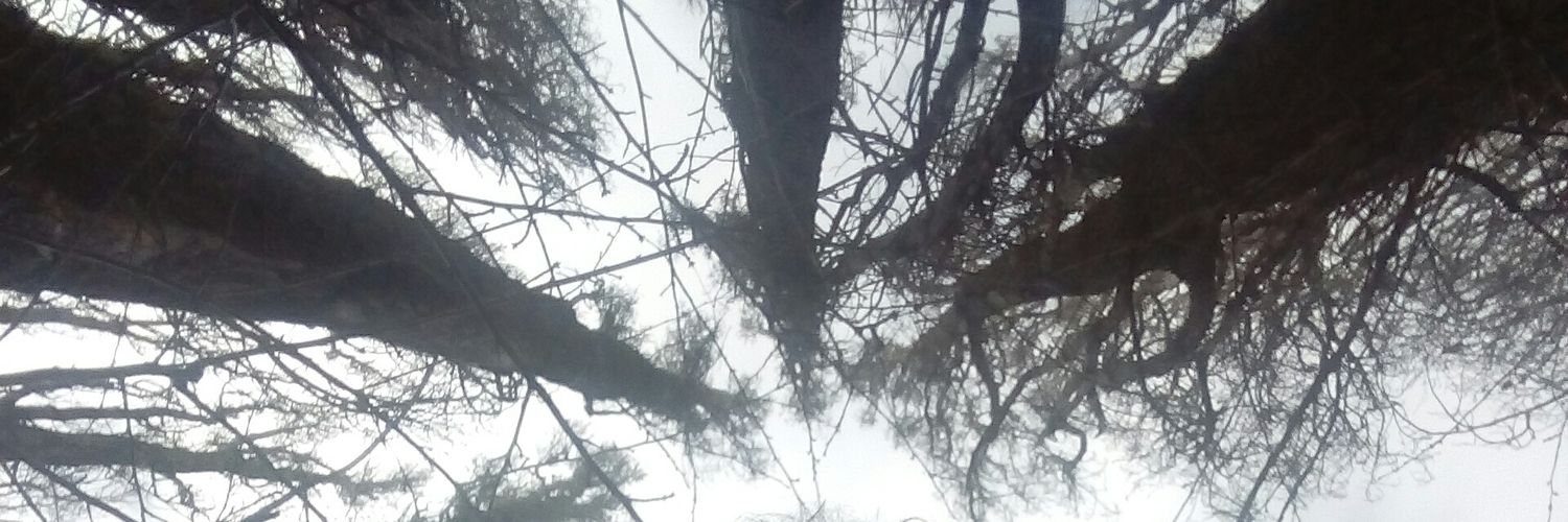 MarDelFoyel's profile banner image