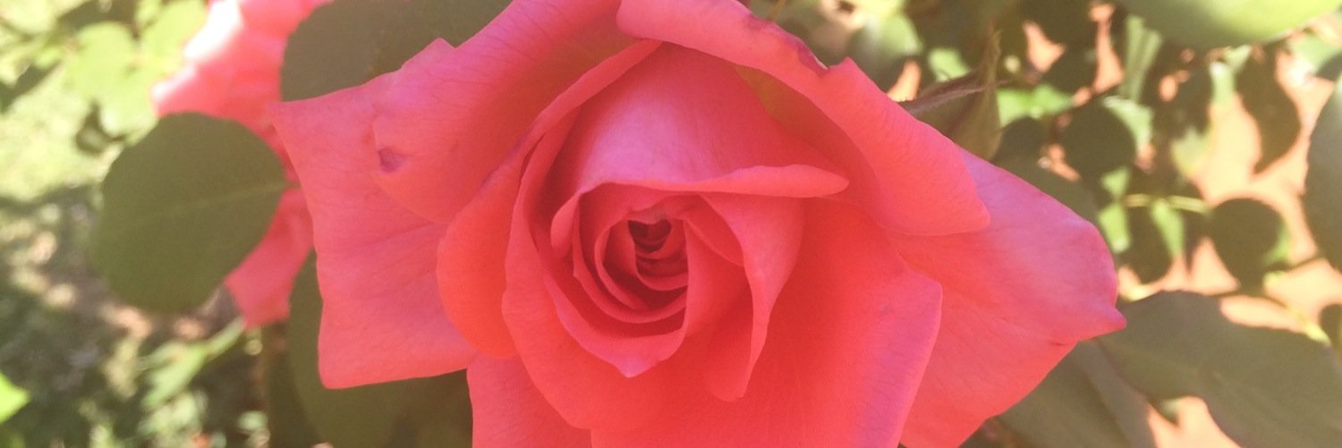 theolapitso's profile banner image