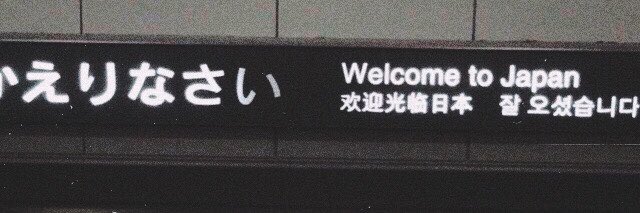 𝓛𝓸𝓻𝓮𝓶. banner