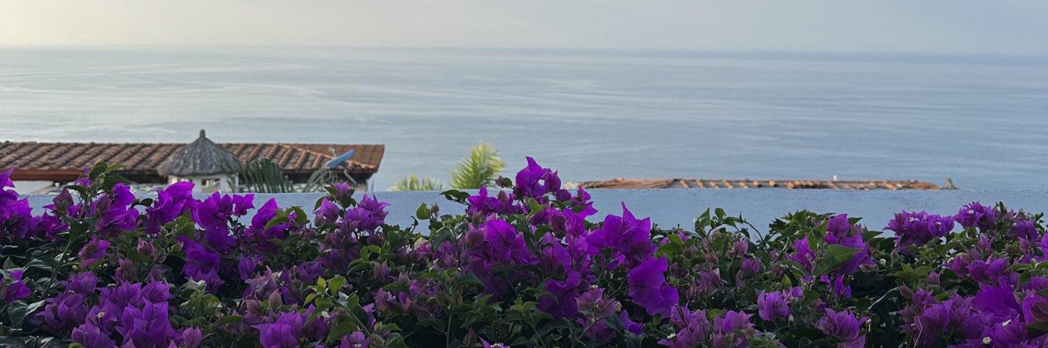 brisalerma's profile banner image