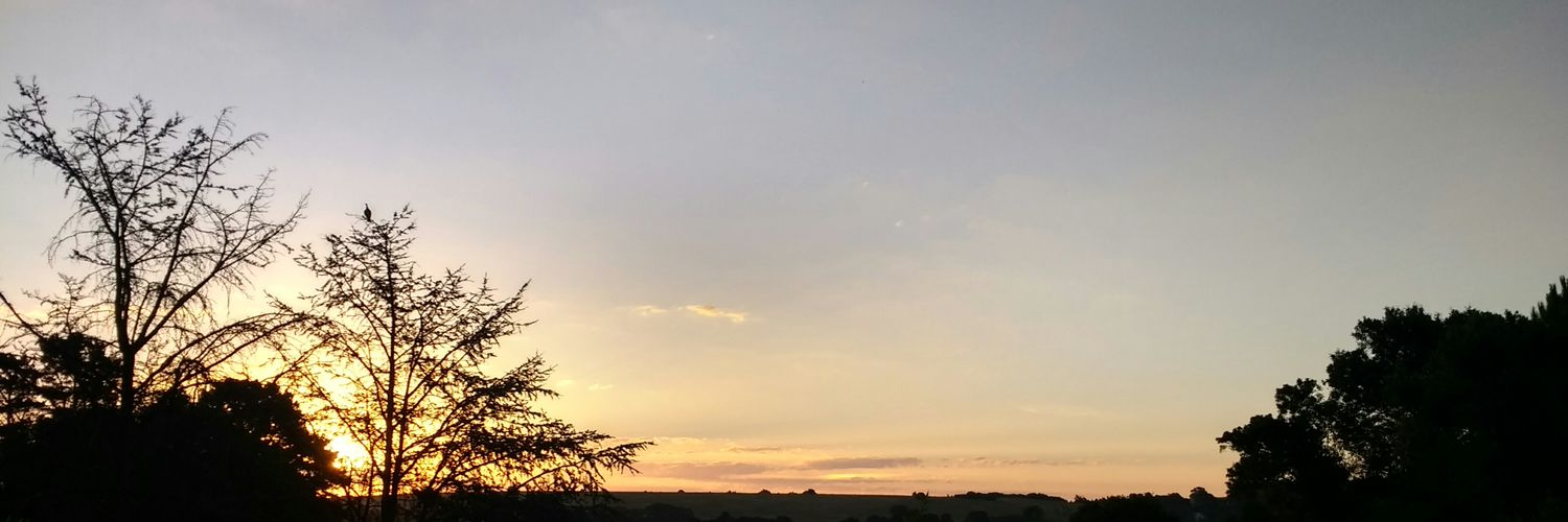 Cecilmallo's profile banner image