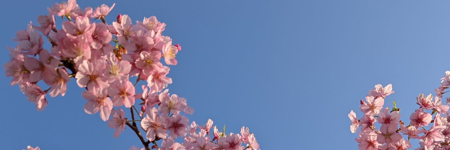 fuukaGaGaGa's profile banner image