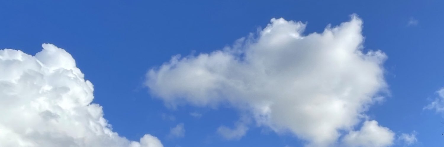 Miss C banner