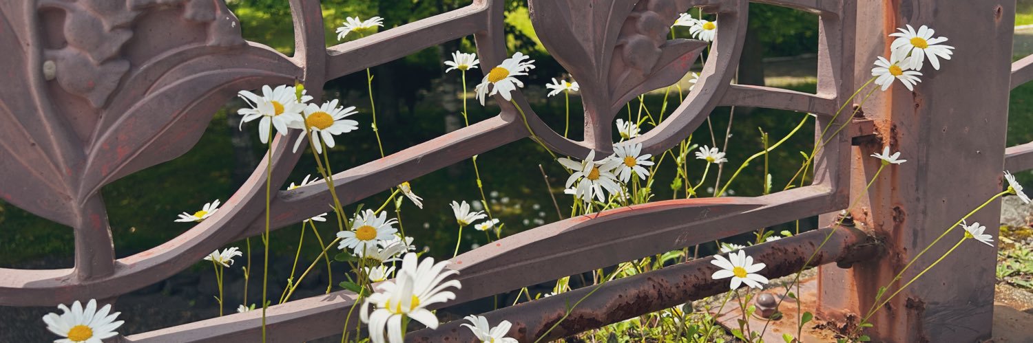 ARIIVENTI's profile banner image
