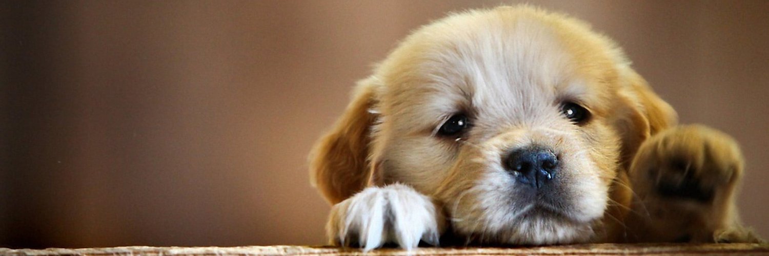 stfurp7's profile banner image