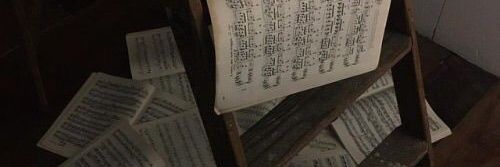 gieno banner