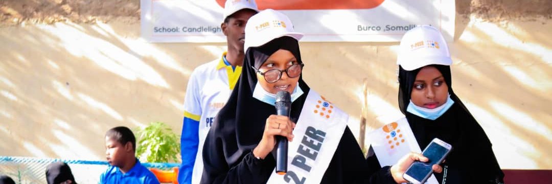 Somaliland Y-PEER banner