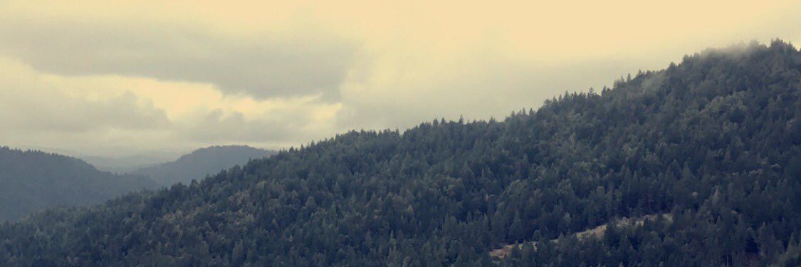 MsMarisela_'s profile banner image