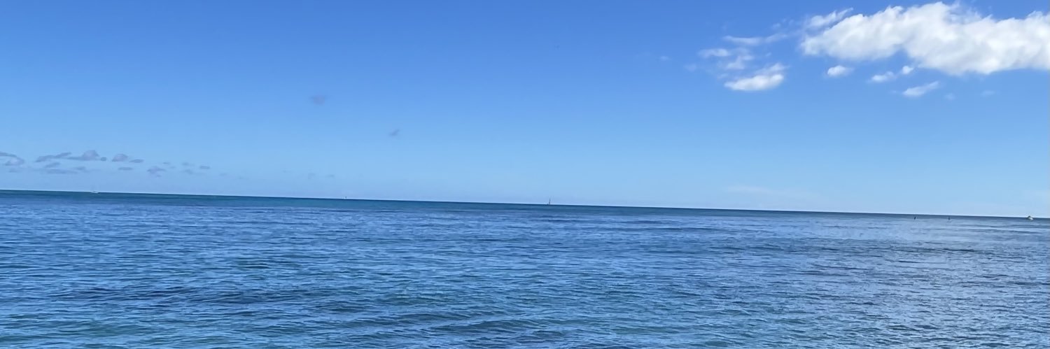 たんこ　🩵🦪🍔 banner