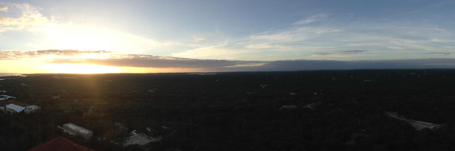 Ariadna Ortega banner